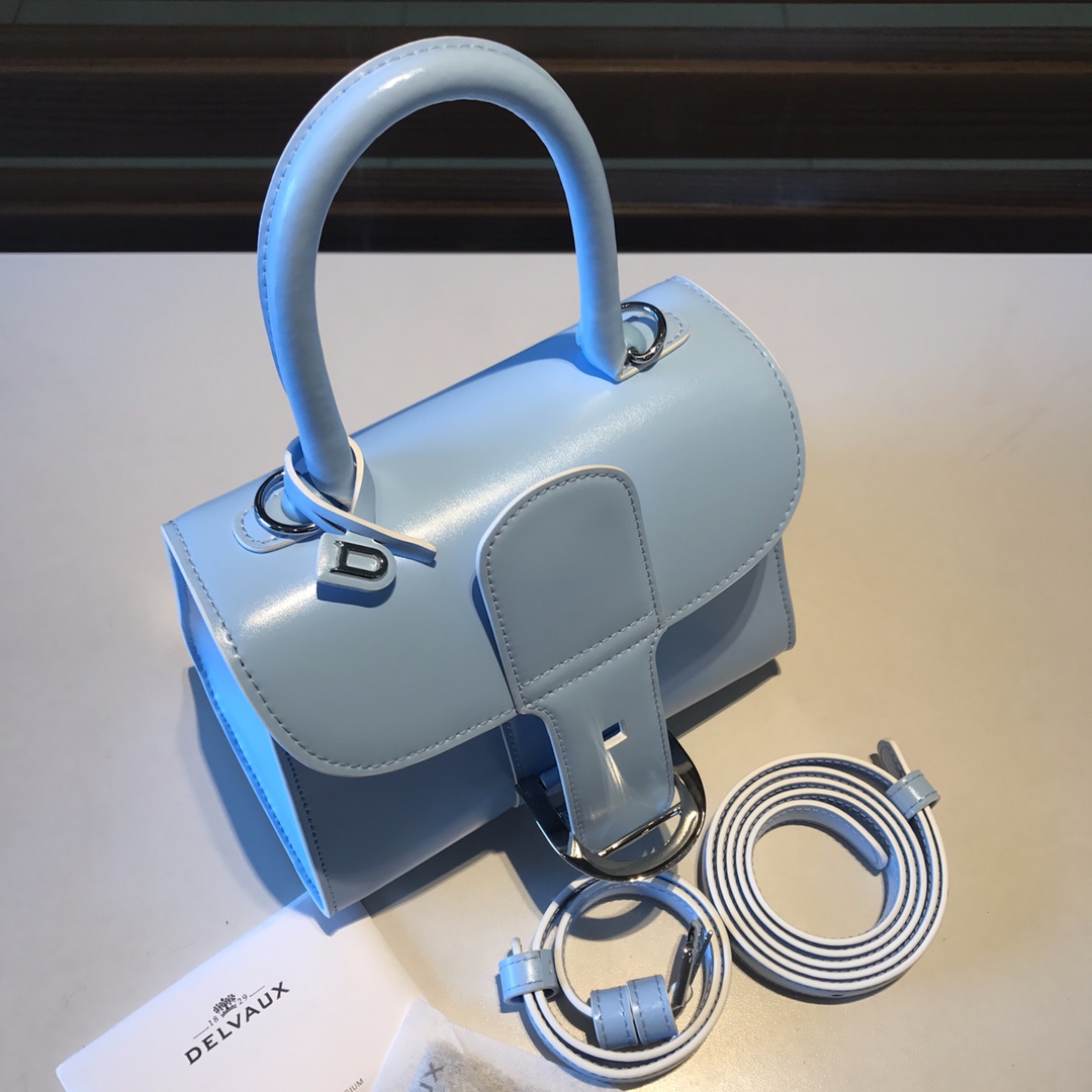 델보 브리앙 박스백 미니